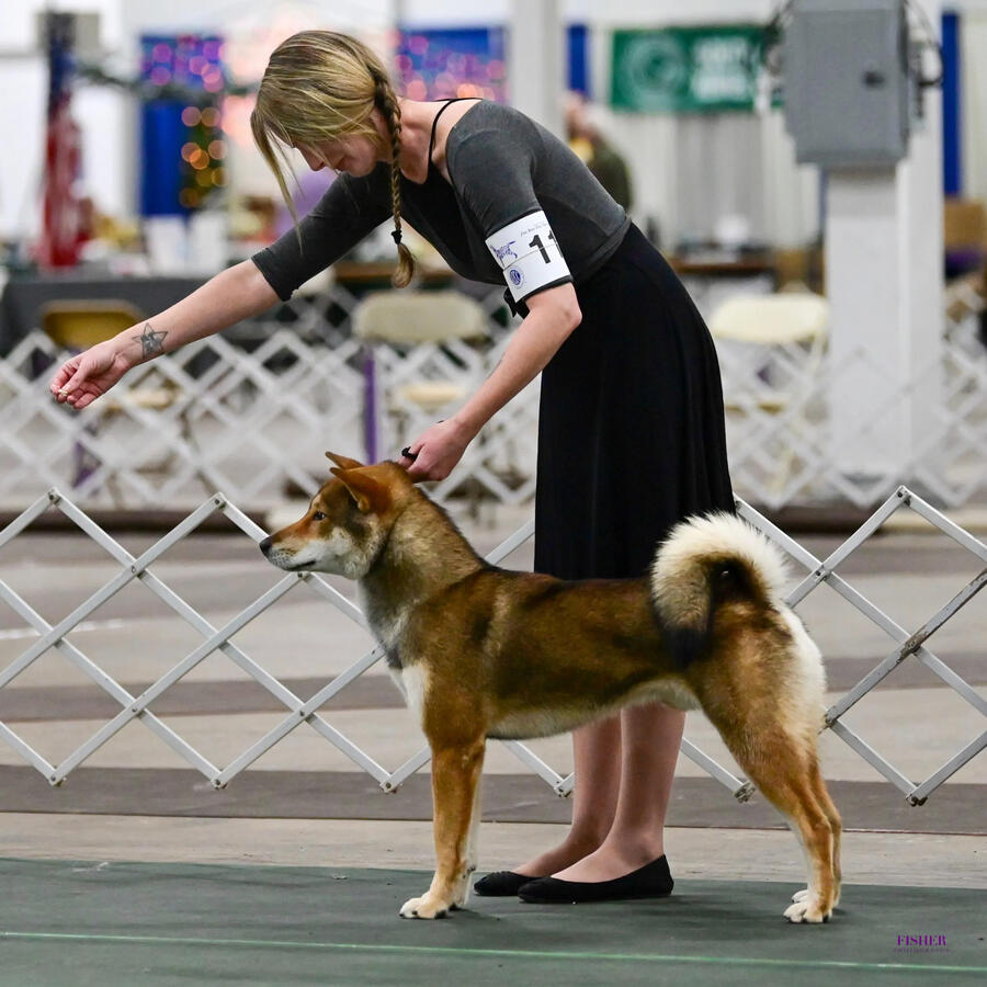 Conformation Conformation